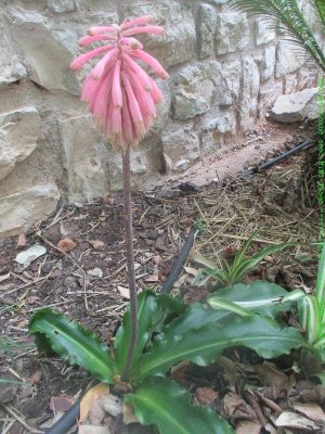 IMG_5509-MiNi.JPG
