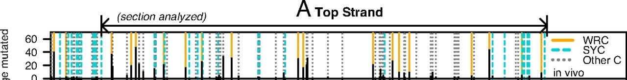 Image1.jpg