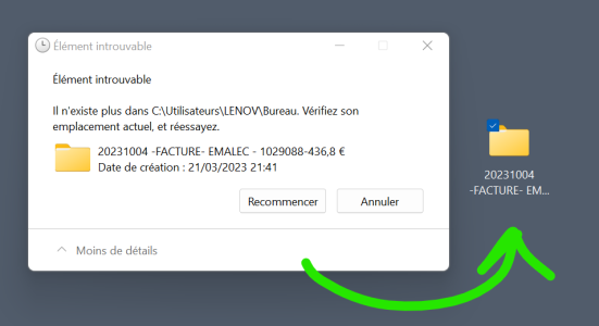 bug fichier qui apparait sans pouvoir le supprimer.png