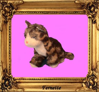 chat_fernette copie.jpg