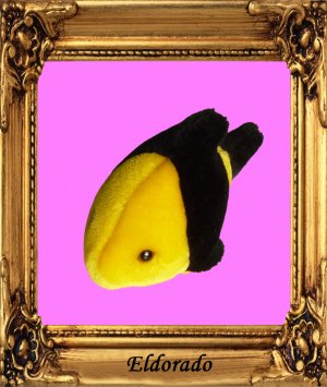 poisson_Eldorado copie.jpg