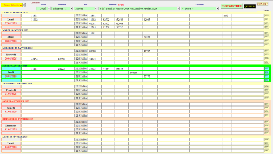 Capture d'écran 2025-01-30 Constat de la Modification.png