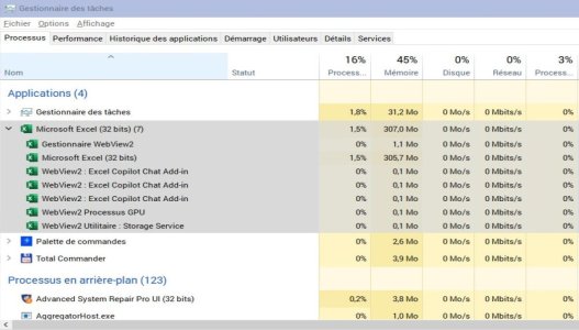 EXCEL DEVELOPPÉ.jpg