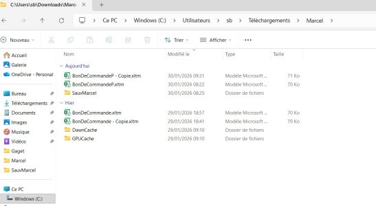 Capture d’écran 2026-01-30 125918.jpg