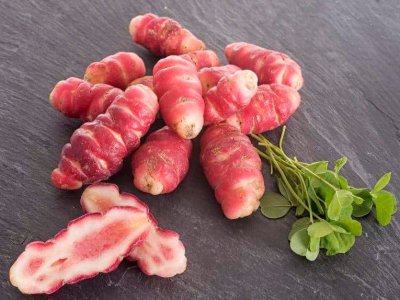 Oca.jpg