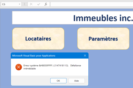ErreurVBA.png