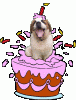 annivJNP.gif