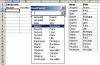 DVForm.GIF