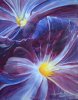 450_Fleurs03.jpg