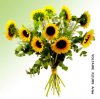 450_Fleurs05.jpg