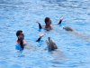 JB marineland.jpg