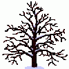 Arbre 4 saisons.gif Arbre 4 saisons.gif