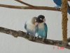 DSC00519.JPG