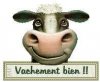 gift-vachement.jpg