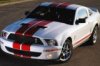 Mustang-shelby160x120.jpg