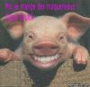 cochon.jpg