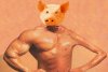 Pig.jpg