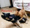 ATTENTE_XLD.jpg