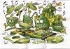 CitronVert00.jpg