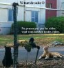 ATTENTE.jpg