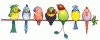 Toto et les oiseaux.gif