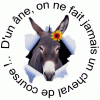 D'un âne....gif