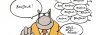 le-chat-bonjour1.jpg