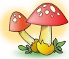 Ah.... les bons champignons !.jpg