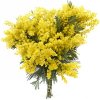 Afficher les lignes de couleur jaune....jpg
