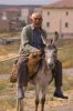 Ane_Cappadoce.jpg