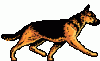 Berger_allemand.gif