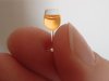 Tchin tchin !.jpg