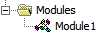 01Module.png