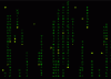 Matrixlsscreen.gif