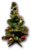 xmas_tree.png