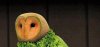 Fruits.jpg