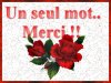 merci.jpg