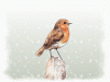 C'est l'hiver.gif