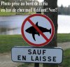 PANNEAU.jpg