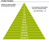 Systeme-de-ventes-pyramidales_large.png