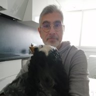 SAGET JF
