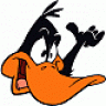 daffy14
