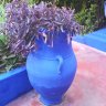 wall