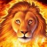 lion69