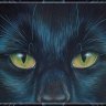 Blackpanther339