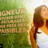 Messan