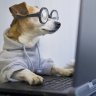 Mon chien