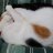 TBlog