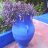 wall