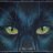 Blackpanther339